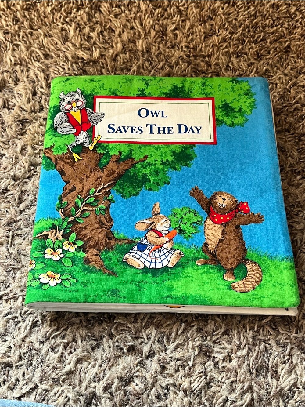 VTG Owl SAVES the DAY children Handmade Soft Cloth educational Ecology Storybook